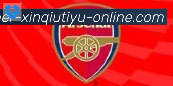 新球体育合作伙伴